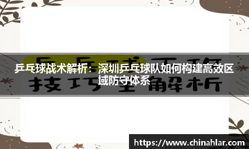 乒乓球战术解析：深圳乒乓球队如何构建高效区域防守体系
