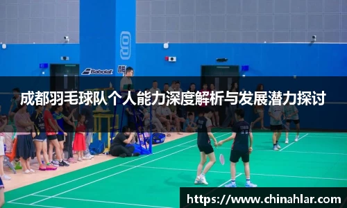 成都羽毛球队个人能力深度解析与发展潜力探讨