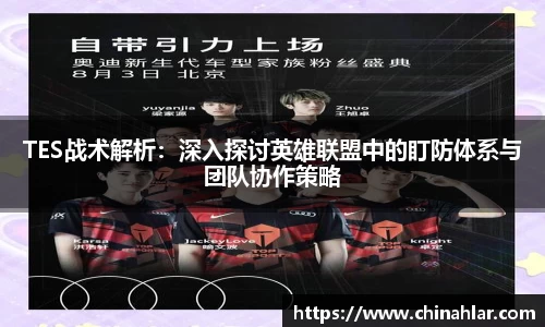 中欧体育官方入口