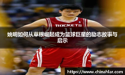 zoty中欧体育全站