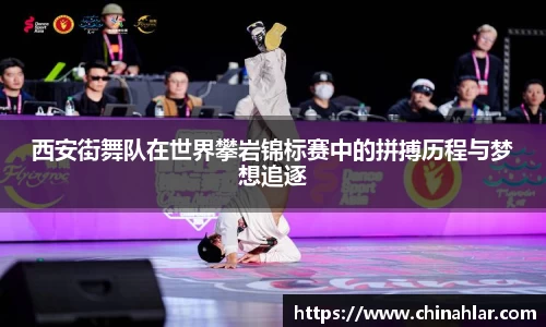 中欧体育官方入口