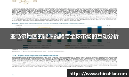 亚马尔地区的能源战略与全球市场的互动分析