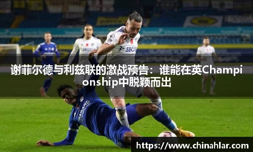 中欧体育官方入口